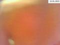 Screenshot Hidden Camera Hotel Porn