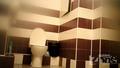 Screenshot Hidden Camera In The Toilet - 1