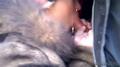Screenshot Porn Porno Porn To Mouth Ass Ass Mouth Cumshot Russian Black Mans Sucking Throat Cum Homemade Swallows Double Anal Drool Sex Fuck - 3