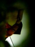 Screenshot Girls In Toilet Hidden Camera - 1