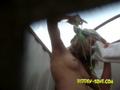 Screenshot Hidden Camera In The Beach Chair - 3