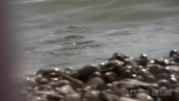 Screenshot Nude Beach.(inet).