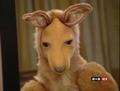 Screenshot Kangaroo-shemale