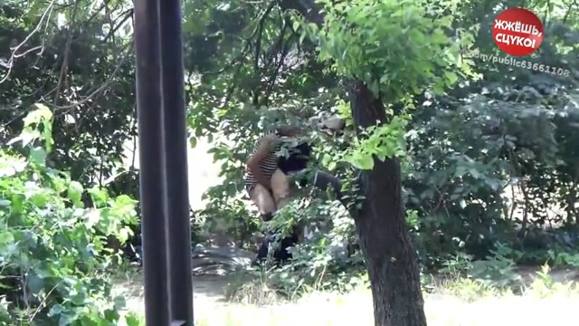 Bildschirmfoto Ficken im Busch! - Wir sind aufgeflogen!