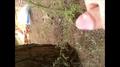 Screenshot Jerking Off On Sunbathing Girl.mmm It Was Very Nice..