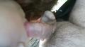 Screenshot Homemade Porn: Blowjob In The Woods