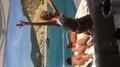 Screenshot Spain Ibiza. Bachelorette Party On A Yacht=)