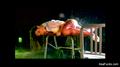 Screenshot Asian Girl Under The Spray Of Water Does Blowjob And Receives In Return For Cunnilingus. Beautiful Porn Video With Cum On Her Face. Classical And Oral