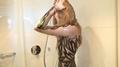 Screenshot Naked Celebrity Svetlana Khodchenkova Http://vk.com/nudecelebrities - All Naked Celebrities Here!