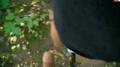 Screenshot Banged Doggy-Style in the Woods and Swallows Cum - Shnuggi91 720, Homemade Porn, Anal, Blowjob, Public