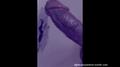 Screenshot Girl Sucking Black Dick Ebony Fucks White Interracial Sex Porn Interracial Blowjob Bbc White Slut Sexwife Pussy Anal Ass