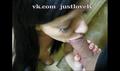 Screenshot Russian Beautiful Brunette Sucks Dick. Amateur Private Home Private Rare Intimate Private Porn. Royal Blowjob From A Beautiful Porn Star