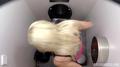 Screenshot Writes Like A Cow In A Field,a Hidden Camera In The Toilet