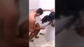 Screenshot Caught In The Bathroom | Russian Porn | +18 | Erotic | Sex | Young | Slut | Mofos | Brazzers | Pickup | X-art | Blowjob - 1