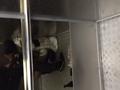 Screenshot Got A Blowjob In The Elevator [homemade And Private Porn, Amateur Sex ]