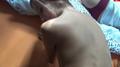 Screenshot Fucked His Mistress While His Wife Slept Next [fap Fap]
