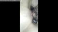 Screenshot Watch Porn Russian Homemade Wife With Friend