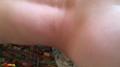 Screenshot Crustaceans Cumshot (pit Sex,porn Xxx Cute Webcam Girl Sex Masturbation Pussy Cum Sperm Anal Anus Cum Fingering A Vagina)