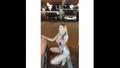 Screenshot Th Th !!! ( Girl,erotic,coeds,not Homemade Russian Porn,sex,sex)