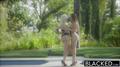 Screenshot Anikka Albrite &dani Daniels Two Gorgeous Bitches - Lesbians And Their Big Elastic Ass Porn Stars