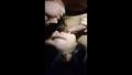 Screenshot Two Whores Suck My Dick And Kiss
