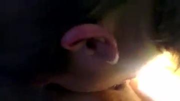 Screenshot While Her Husband Worked - Blowjob To A Friend In The Car