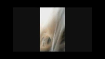 Screenshot Reports For Husband. Sexwife Wife For Sex