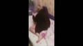 Screenshot Husband Caught His Wife With Her Lover! [video 2]