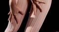 Screenshot Better Than Porn. Beautiful Naked Japanese Women Japanese Japanese Pisechki Holes Of Valenochki Legs Boobs Tits Breasts Ass