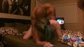 Screenshot Was Given Two At Once And Was A Good Fucking(porn,private,amateur ,online,2017,blowjob,young,student,beautiful,ana