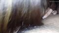 Screenshot Larissa Can't Understand Whose Dick Tastes Sweeter? Vani Or Arsen (porn Blowjob Sexwife )
