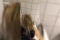 Screenshot Sex Video from a Nightclub in Chisinau.mp4