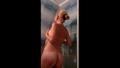Screenshot Homemade Porn Blonde In The Bathroom - 1