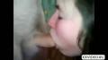 Screenshot Private Porn Blowjob