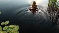Screenshot Beautiful Erotica In The Nature Of A Beautiful Blonde