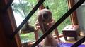 Screenshot Hd Seks, Sex, Anal, Anal , Cum, Cumshot, Blowjob, Blowjob, Lesbian, Porn, Home, Private Amateur Sex - 104