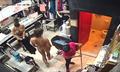 Screenshot #3 Camera In The Dressing Room. A Strip Club In Thailand Phuket. Lots Of Naked Girls. Brazzers Resting
