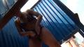 Screenshot Girls Change Clothes In Beach Changing Room Hd 20