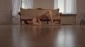 Screenshot Sls Flexible Erotica - 68