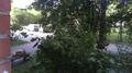 Screenshot Near The House - On A Hidden Camera