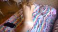 Screenshot Showed Her Pussy _hd Sex, Sex, Anal, Anal , Cum, Cumshot, Blowjob, Blowjob, Lesbian, Porn, Home, Amateur Private Sex