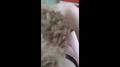 Screenshot Turkish Amateur Videos - Türk Amatör Videolar - Turkish Amateur Videos - Yeni Videolar Için Paylaş-beğen-yorum Yap. - 1