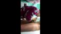 Screenshot Vstretimsia.[homemade And Amateur Porn Video Private,sex] - 1