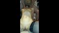 Screenshot In Two Members Of A Girl With A Sexy Slut [sex, Porn, Homemade Porn, Sex]