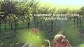 Screenshot Four Naked Girls And Grapes 2015 Big Tits, Blowjob, Tits, [beard.© +18 (erotic, Tits, Sex, Debauchery] - 1