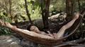 Screenshot Beautiful Gymnast After A Walk In The Woods Masturbates In A Hammock,handjob Gymnastics. Masturbation Pussy.