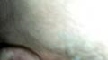 Screenshot Home Porno Threesome - 9