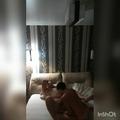 Screenshot Our First Home Tape | Russian