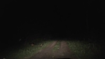 Screenshot My Friend's Wife Asked Me To Drive Her. In The End, We Fucked Hard On The Hood. Treason. In Condoms