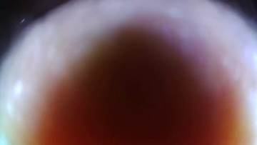 Screenshot Real Cum Camera Inside Pussy - Original Full Video